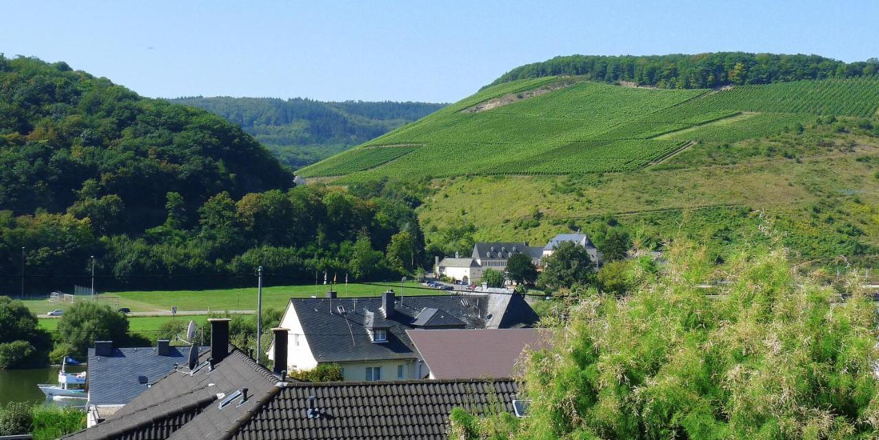 Gaestehaus Schwaab Zeltingen-Rachtig Kültér fotó